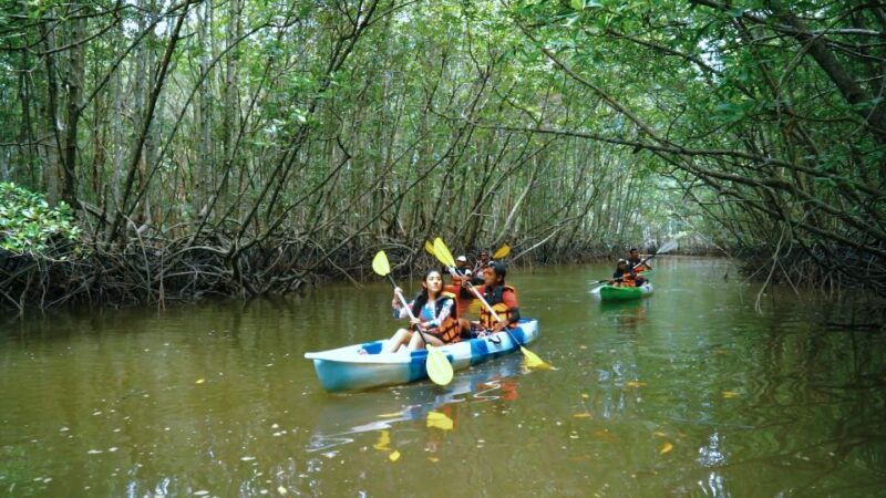 ao-nang-kayak-tour-in-krabi-mangrove-forest-with-lunch