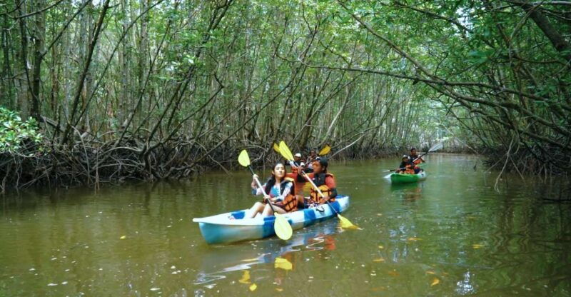 ao-nang-kayak-tour-in-krabi-mangrove-forest-with-lunch