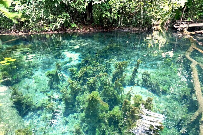 Ao Nang Kayaking at Klong Rud with Hotel Transfer - What Makes This Tour Stand Out?