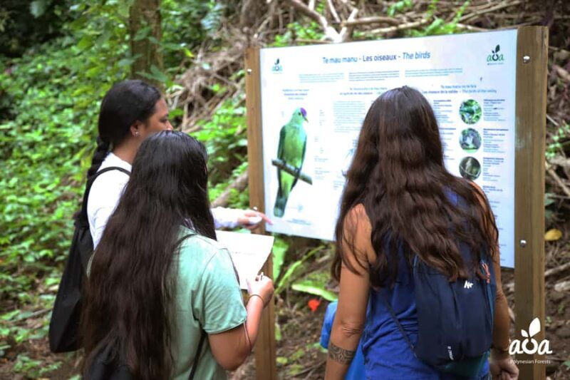 AOA Polynesian Forests - Educational Forest and Scavenger Hunt, Tahiti, West Coast - An In-Depth Look at AOA Polynesian Forests