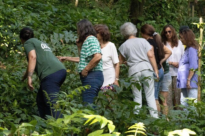 AOA Polynesian Forests - Hiking Sanctuary Biodiversity Tahiti - Detailed Breakdown of the Itinerary