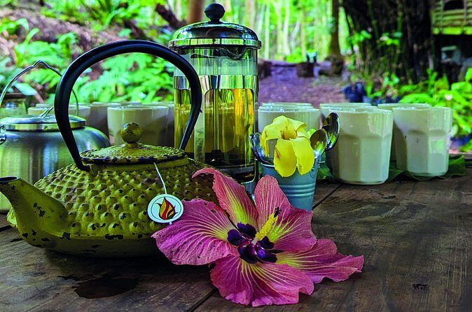 AOA Polynesian Forests - Hiking Sanctuary Biodiversity Tahiti - Who Should Consider This Tour?