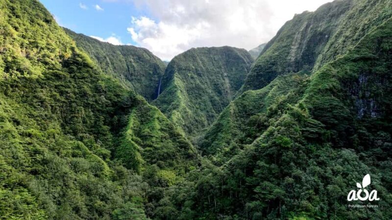 AOA Polynesian Forests - Tahiti Biodiversity Sanctuary Hike - Why This Tour Is a Great Value