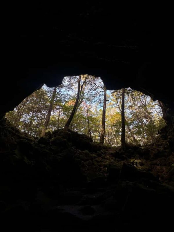 Aokigahara Guided Trekking - Japan's Most Famous Forest - FAQ