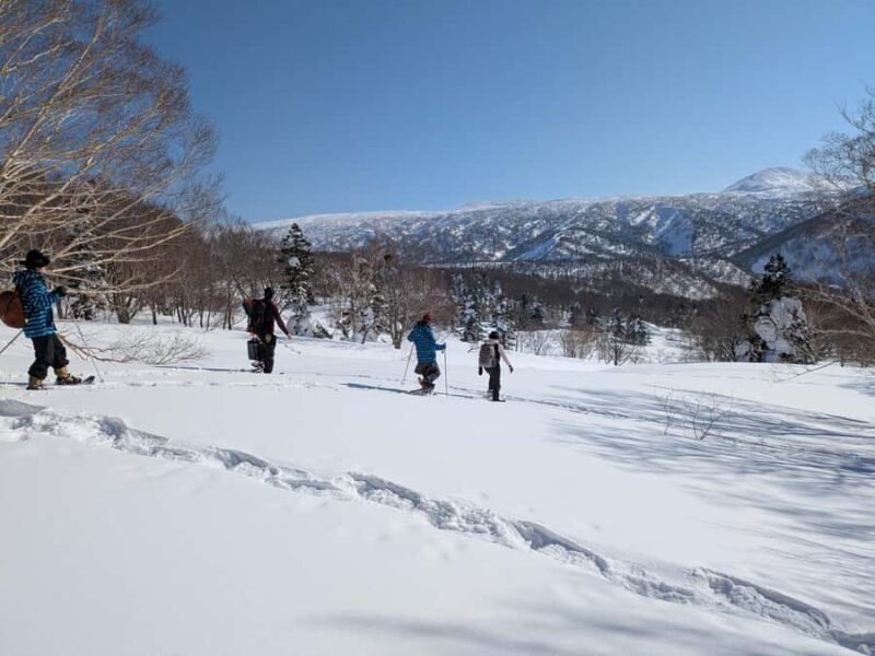 Aomori: Hakkoda Snowshoe Adventure with Guide - Key Points