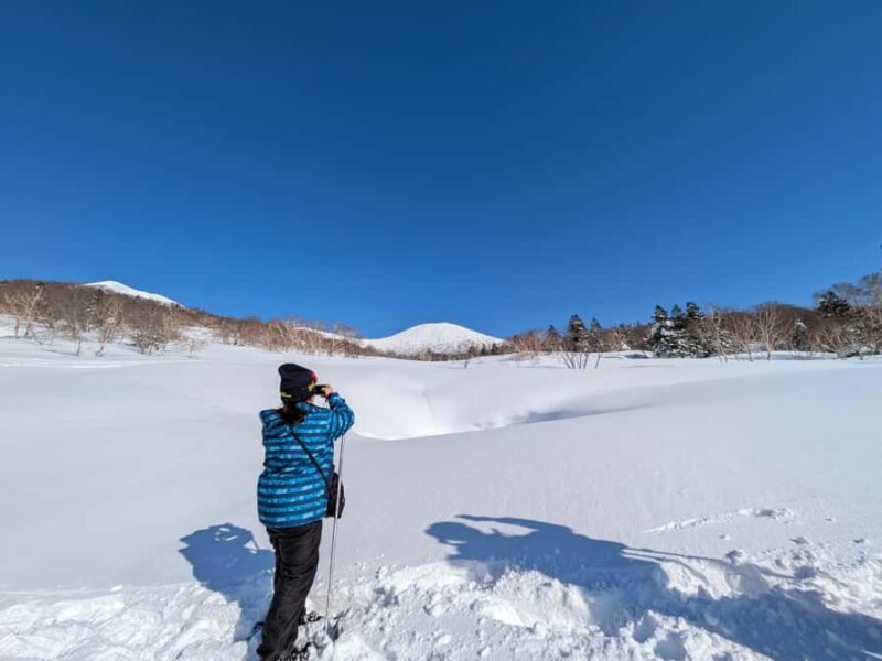 Aomori: Hakkoda Snowshoe Adventure with Guide - The Experience in Detail