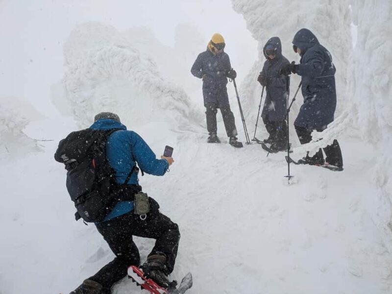 Aomori: Hakkoda Snowshoe Adventure with Guide - Who Should Consider This Tour?