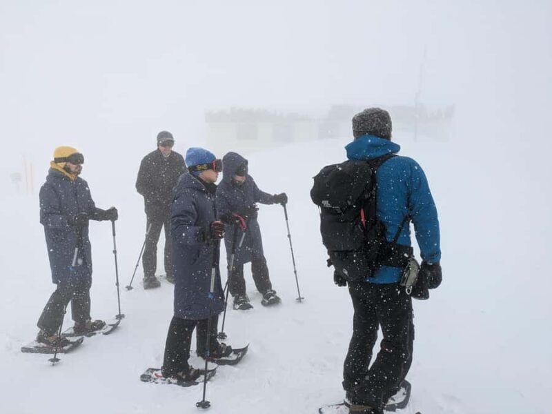 Aomori: Hakkoda Snowshoe Adventure with Guide - Final Thoughts
