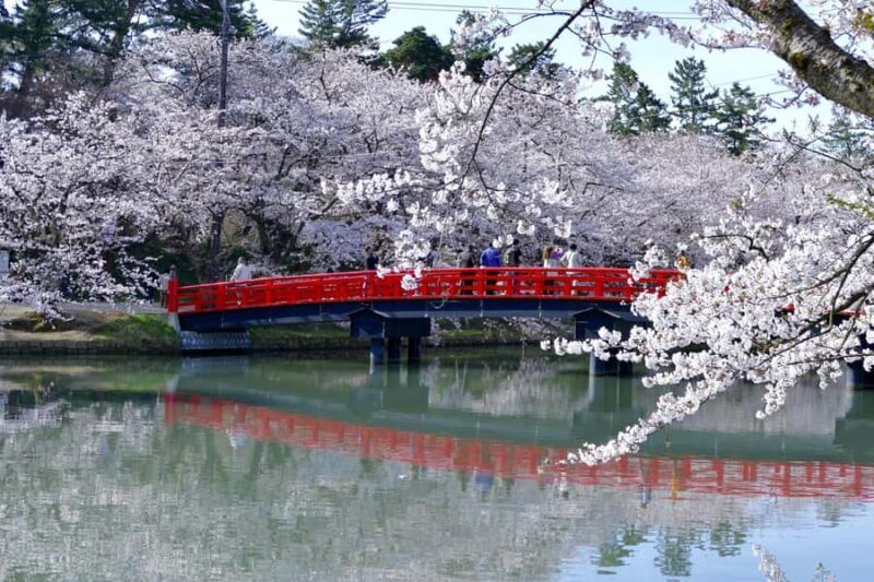 Aomori: Hirosaki Private Shore Excursion for cruise guest - Key Points