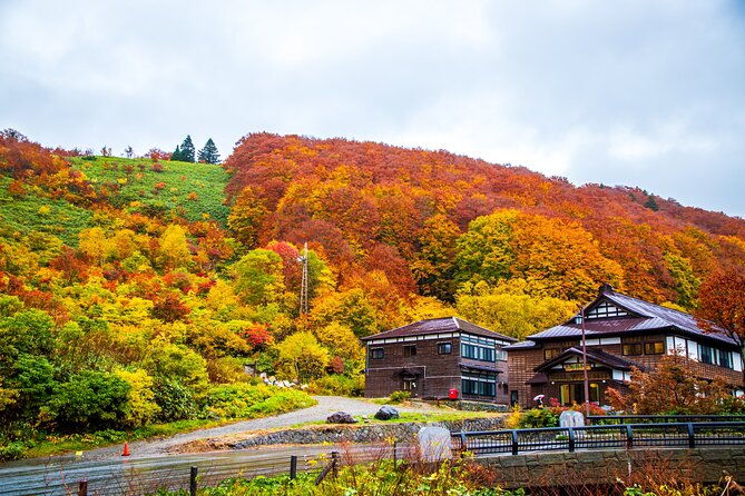 aomori-private-customizable-full-day-tour