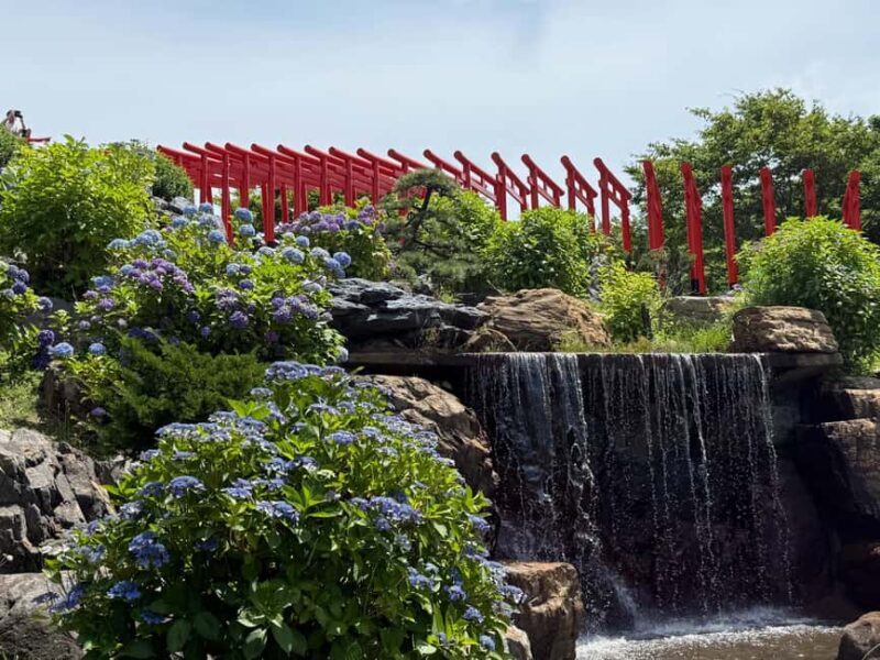 Aomori: Takayama Inari Shrine and Jomon Museum Tour - Key Points