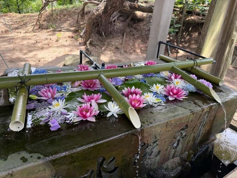 Aomori: Takayama Inari Shrine and Jomon Museum Tour - Who Will Appreciate This Tour?