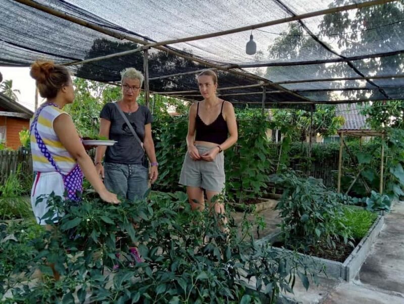 Aonang: Thai Cooking Class with Market & Kitchen Garden Tour - Organic Kitchen Garden Experience