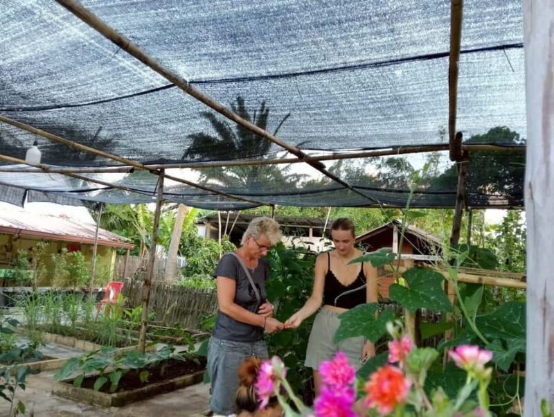 Aonang: Thai Cooking Class with Market & Kitchen Garden Tour - Who Is This Tour Best For?