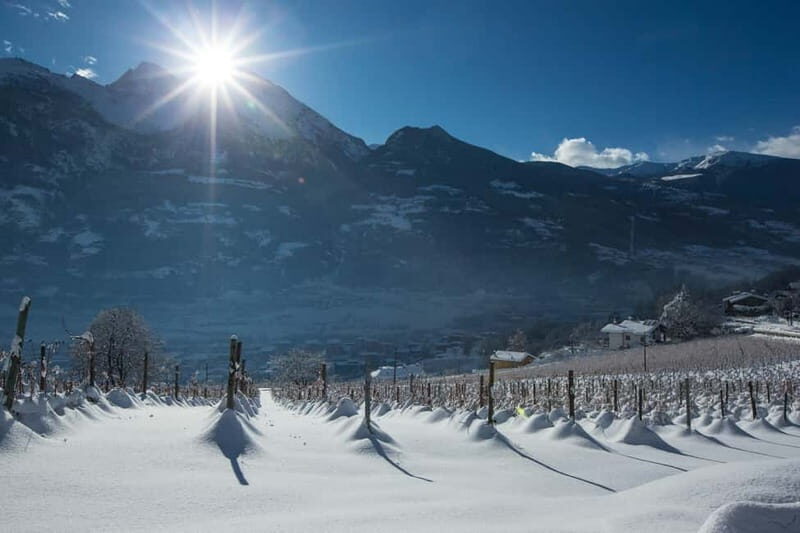 Aosta Valley: Visit and wine tasting at the Grosjean winery - Why This Tour Is Worth Considering