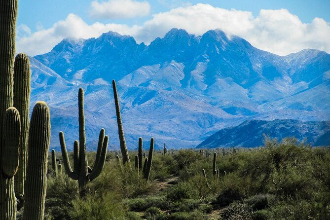apache-trail-private-half-day-tour