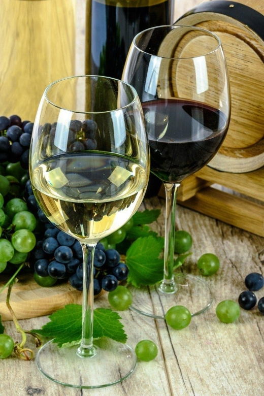 aperitif-guided-cruise-wine-and-canele