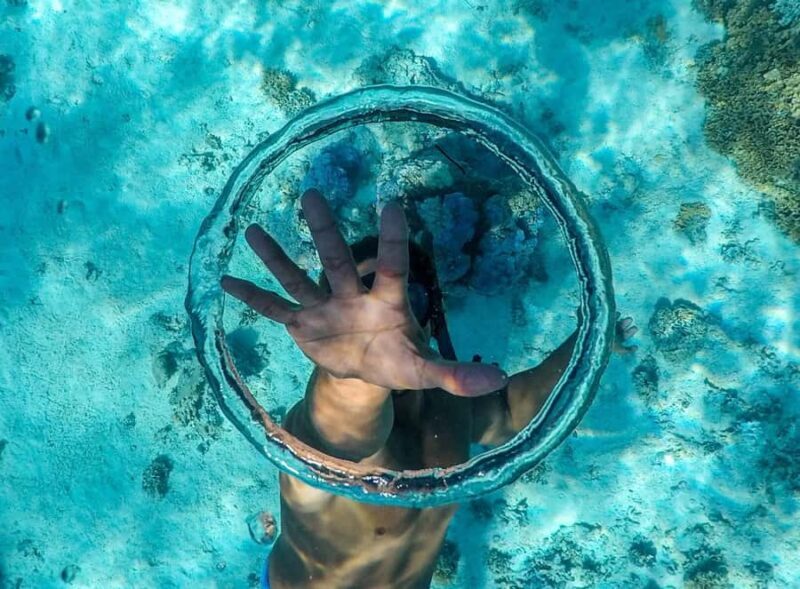 Apetahi day trip around Raiatea on a modern outrigger canoe - What Sets This Tour Apart?