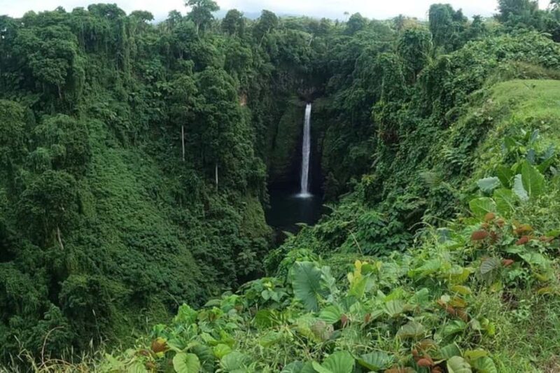 Apia: Full-Day Upolu Island Tour with Waterfalls and Beaches - Who Should Book This Tour?