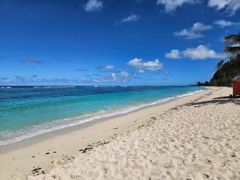 Apia Port: Cruise Guests Shore Excursion - Exploring the Samoa Shore Excursion: A Perfect Blend of Nature and Culture