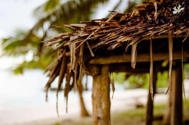 Apia Port: Cruise Guests Shore Excursion - Key Points