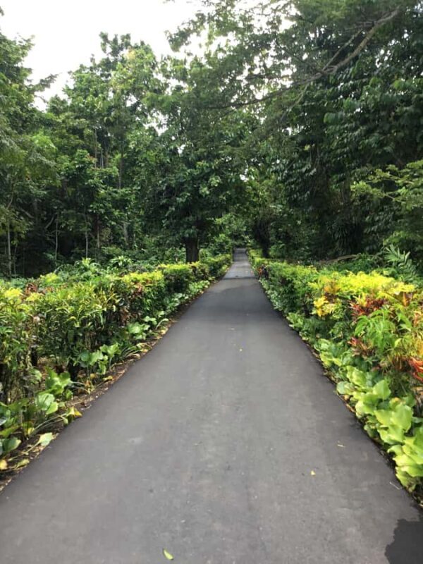 Apia Port: Cruise Guests Shore Excursion - Final Thoughts