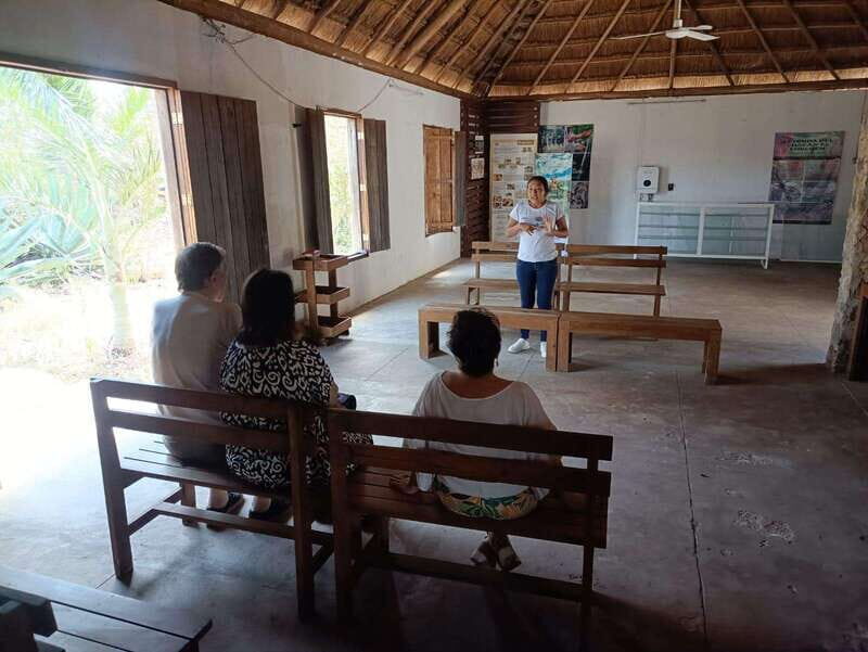 Apiary Tour (Bee tour) also Archeological site and salt Pond - Key Points