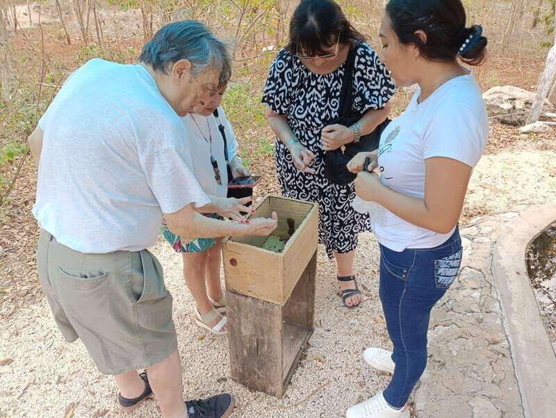 Apiary Tour (Bee tour) also Archeological site and salt Pond - An In-Depth Look at the Apiary Tour Experience