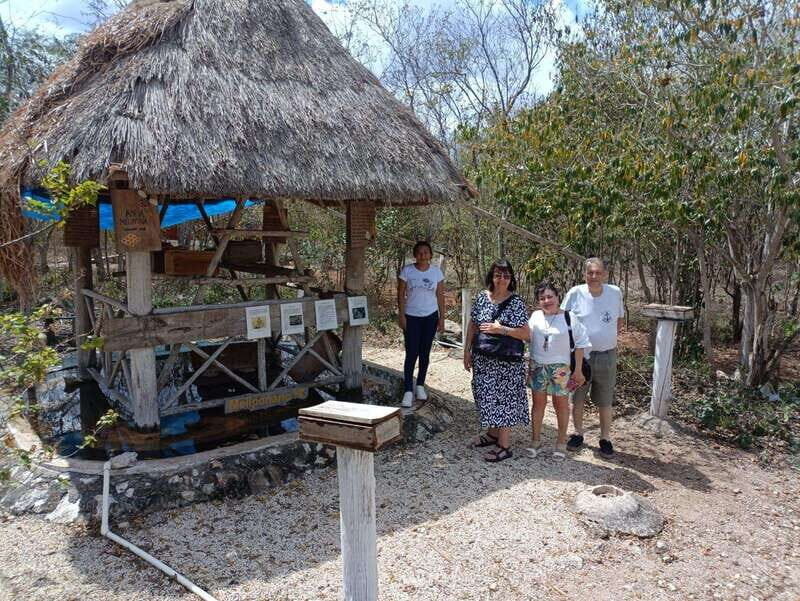 Apiary Tour (Bee tour) also Archeological site and salt Pond - Authentic Experiences and Unique Insights
