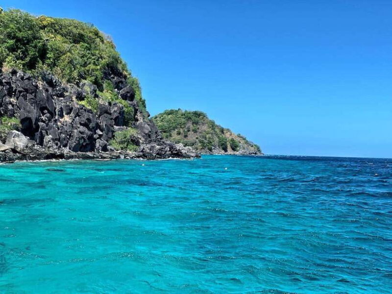 Apo Island Wonders: Snorkel with Sea Turtles in Dumaguete - Key Points  