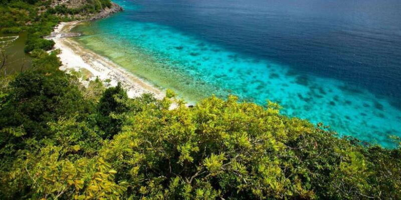 Apo Island Wonders: Snorkel with Sea Turtles in Dumaguete - The Lunch and Beach Experience