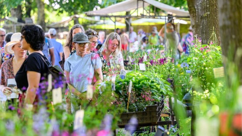 appeltern-flower-park-appeltern-entry-ticket