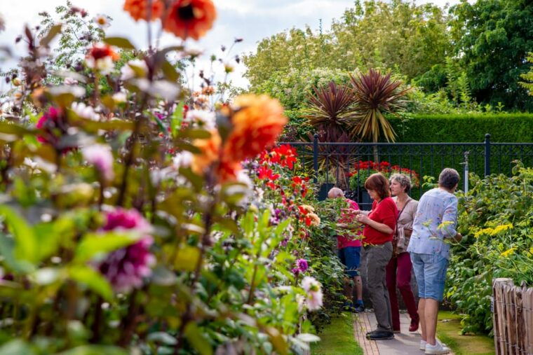 appeltern-flower-park-appeltern-entry-ticket