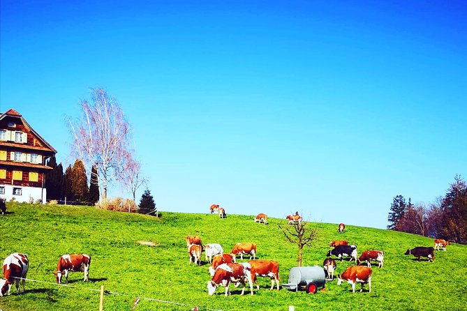 appenzell-and-liechtenstein-tour-from-zurich-2
