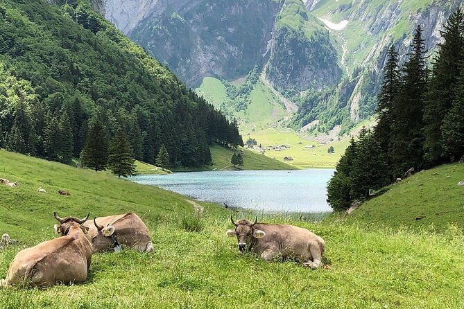 appenzell-laderach-liechtenstein-vaduz-day-trip-from-zurich