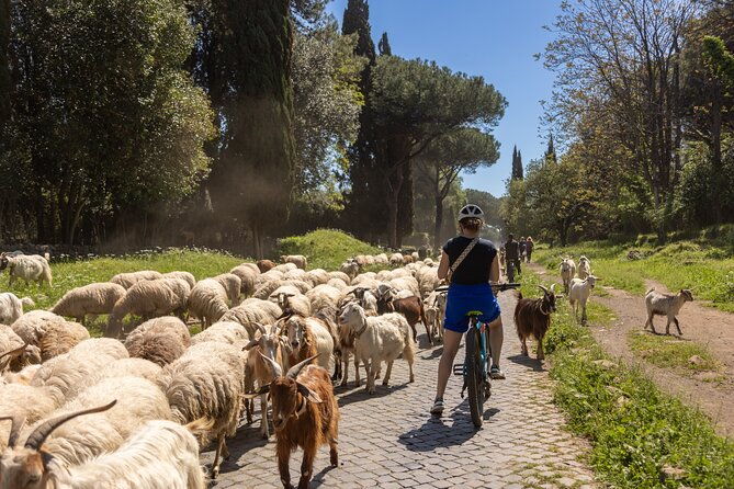 appian-way-and-aqueducts-biking-guided-tour-2