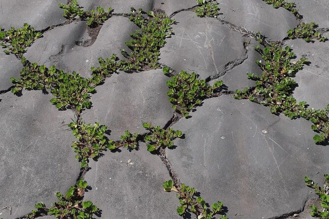 appian-way-catacombs-and-acqueducts