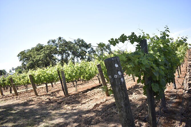Apple Hill Wine Tasting Tours And Placerville wine tasting tours - The Value of a Fully Personalized Tour