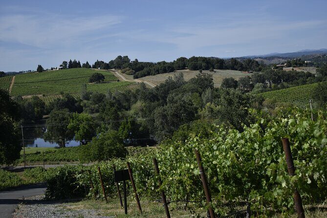 Apple Hill Wine Tasting Tours And Placerville wine tasting tours - What You Can Expect at Each Stop