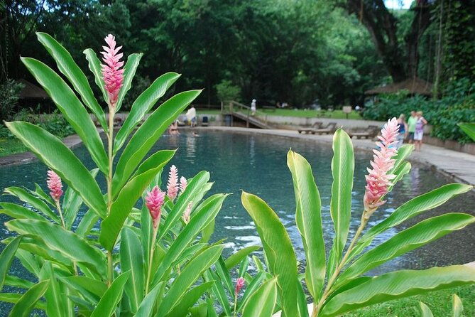 appleton-estate-admission-rum-tastings-with-ys-falls-ziplining