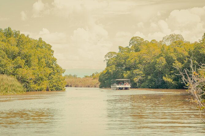 appleton-estate-black-river-safari-and-ys-falls