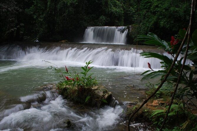 appleton-estate-black-river-safari-and-ys-falls