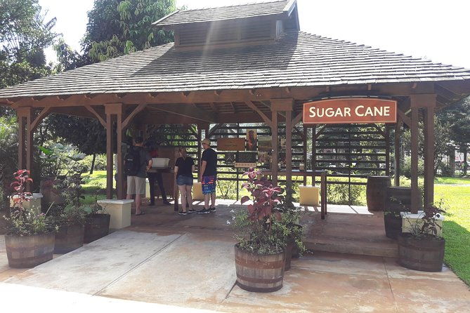 appleton-estate-rum-and-pelican-bar-private-tour-from-montego-bay