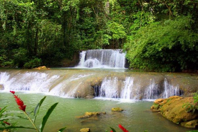 appleton-estate-ys-falls-and-black-river-safari-private-tour