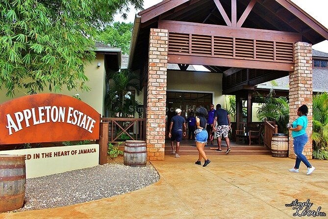 appleton-estate-ys-falls-and-black-river-safari-private-tour