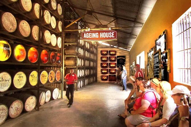 appleton-estate-ys-falls-and-black-river-safari-private-tour