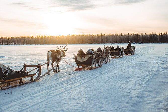 apukka-reindeer-journey-2