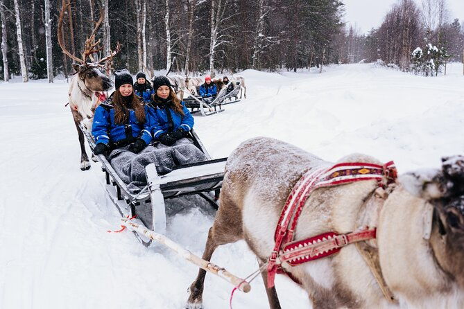 apukka-reindeer-journey-2
