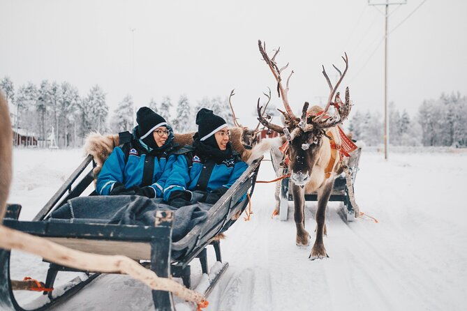 apukka-reindeer-journey-2