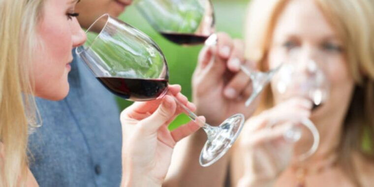 apulia-guided-vineyard-tour-with-wine-tasting